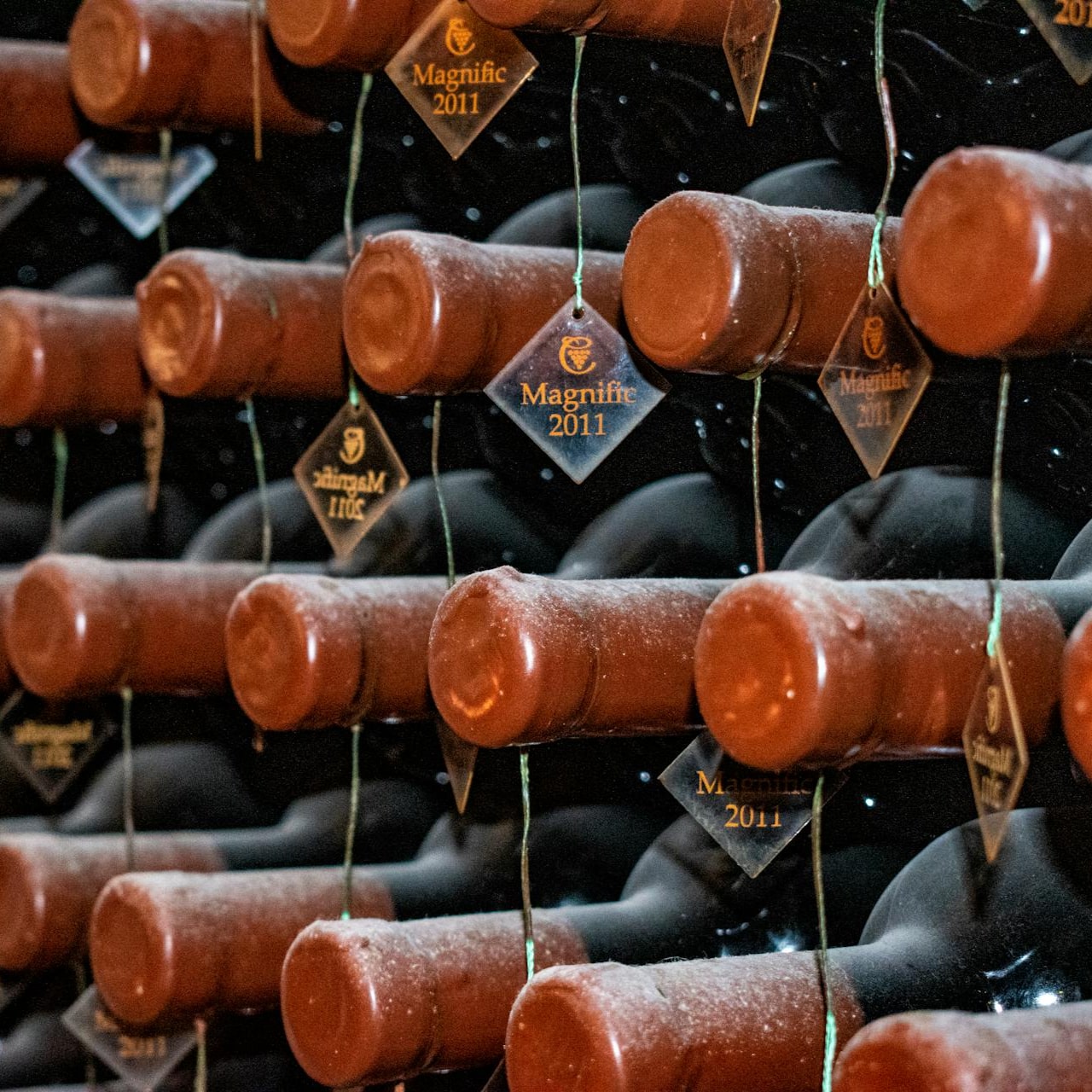 The Wine Club